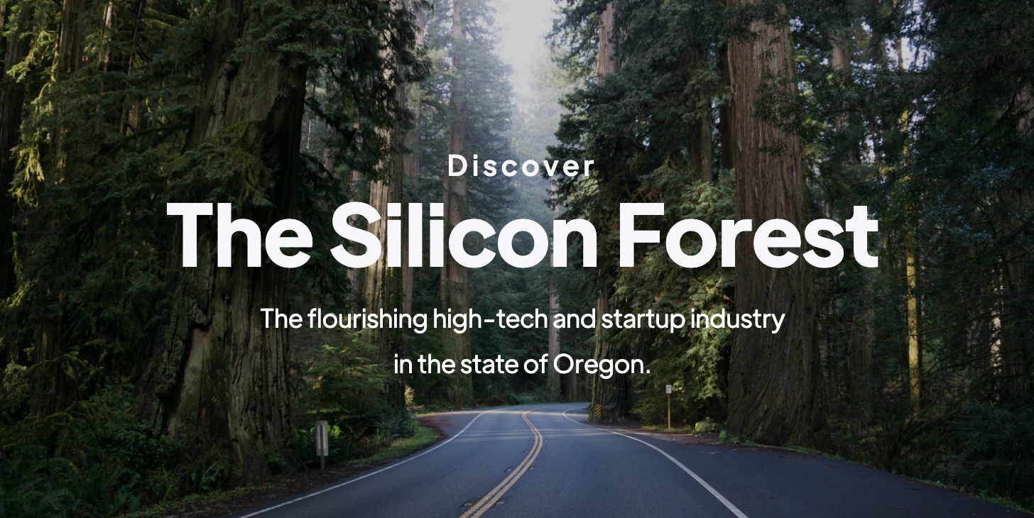 Stabilising Cyberzine Photographic Exhibit